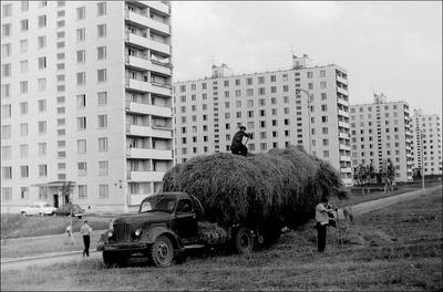 Юго-запад Москвы на старых фото | Прикол.ру - приколы, картинки, фотки и  розыгрыши!
