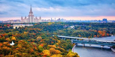 Москва... С высоты птичьего полета / блог сообщества Москва / smotra.ru