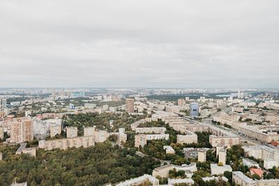 Москва с высоты птичьего полёта и О трудовых подвигах (мини-фотоотчёт)