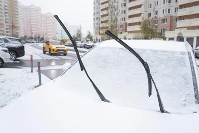 Снег и ветер: погода в Москве снова ухудшится / Новости города / Сайт Москвы