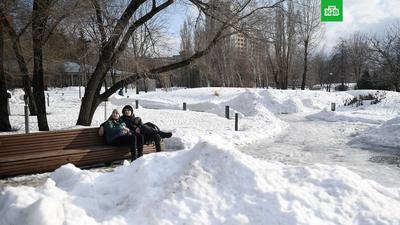 Погода в Москве и Подмосковье 1 и 2 декабря: ждать ли мороз и снегопад