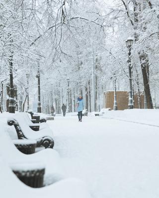 Вьюгой замело: в Москве прошел сильный снегопад | Фотогалереи | Известия