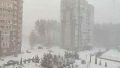 Обильный снегопад ожидается в Москве на следующей неделе - Газета.Ru |  Новости