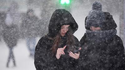 Снег: последние новости на сегодня, самые свежие сведения | МСК1.ру - новости  Москвы