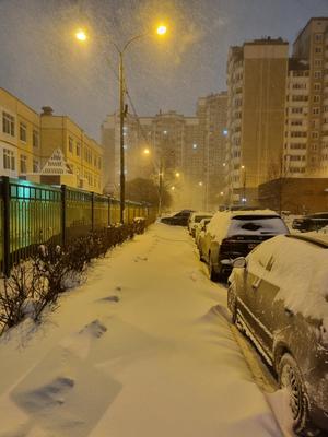 Москву накрывает мощный снегопад :: Новости :: ТВ Центр