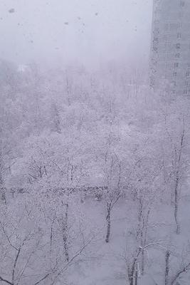 Как Москва пережила «вольский» снегопад | Вольская жизнь