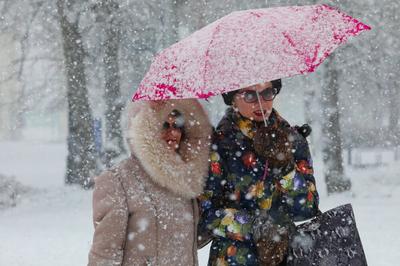 К выходным снег растает, но 15 ноября 2021 в Москву придут первые холода -  KP.RU
