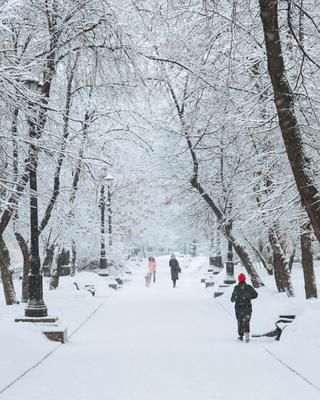 Снегопад в Москве стал одним из самых сильных за всю историю наблюдений  (фото, видео) ▸ Amur.Life