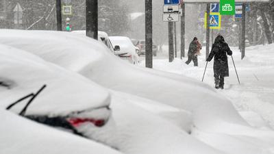 Агентство городских новостей «Москва» - Фотобанк