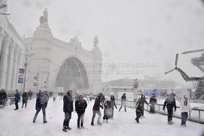 Агентство городских новостей «Москва» - Фотобанк