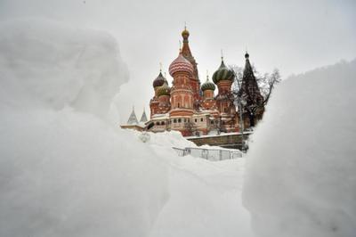Куда сходить в Москве в ноябре