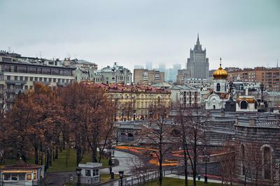 Ноябрь в Москве ожидается теплее нормы - Москвич Mag - 01.11.2021