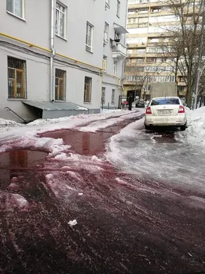 Москва нарядная. Кружится снег, летит не торопясь. — рассказ от 29.12.15