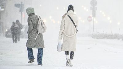 Мокрый снег, гололедица и сильный ветер: в воскресенье в Москве ухудшится  погода / Новости города / Сайт Москвы