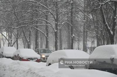 Новогодняя вднх зима москва, елочки …» — создано в Шедевруме