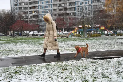 Облачную погоду и небольшой снег спрогнозировали в Москве и области в  субботу - Москва.Центр