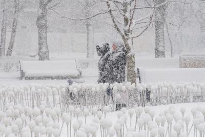 В центре Москвы грязный снег сбрасывают прямо во дворах | Новости общества