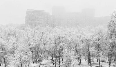 Самый ранний первый снег в Москве | moscowwalks.ru