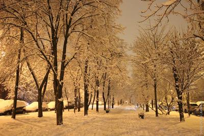 Москва в снегу (19 фото) | Прикол.ру - приколы, картинки, фотки и розыгрыши!