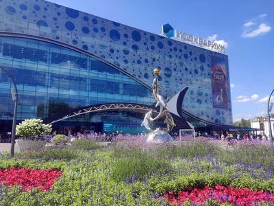 Москвариум, океанариум на ВДНХ в Москве. Цены 2024, сайт, фото, видео, как  добраться, отели рядом — Туристер.Ру