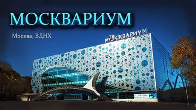 Москва: все самое интересное - трехдневный экскурсионный тур для  организованных групп - Трехдневные туры в Москву для организованных групп