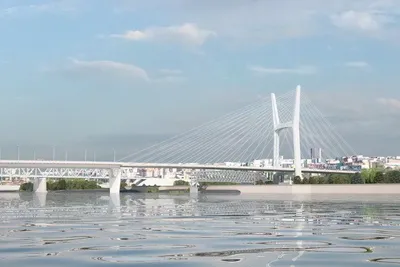 Четвертый мост через Обь в Новосибирске: платный, быстрый,  импортозамещённый - KP.RU