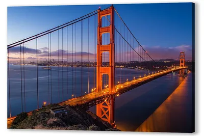 Золотые ворота\". Знаменитый \"мост самоубийц\". Первая часть из цикла статей  о Сан-Франциско | Слон Медвед. Путешествия и не только | Дзен