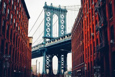 Жители Нью-Йорка перекрыли Бруклинский мост в знак протеста финансовым  институтам США: 02 октября 2011, 08:30 - новости на Tengrinews.kz