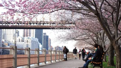 75 908 рез. по запросу «Бруклинский мост» — изображения, стоковые  фотографии, трехмерные объекты и векторная графика | Shutterstock