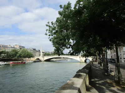Париж. Мост Бир-Акейм (Pont de Bir-Hakeim): nathalie_zh — LiveJournal