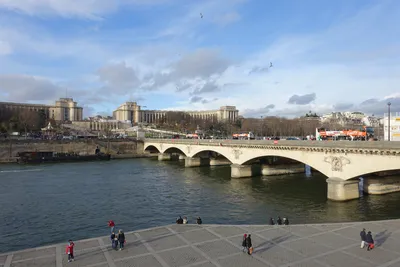 Фотография париже Листья Франция Мосты Реки город Здания