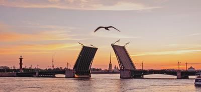 Мосты Санкт Петербурга Фото