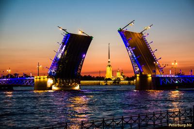 Разводные мосты Санкт-Петербурга