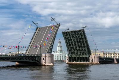 Самые известные мосты Санкт-Петербурга какие посмотреть в первую очередь