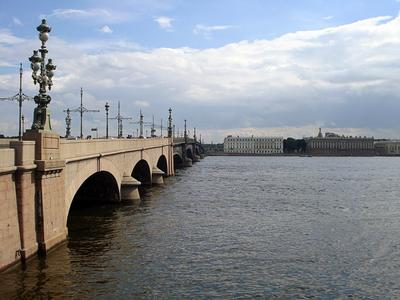 Мосты Петербурга: Аничков, Дворцовый, Банковский, Троицкий, Египетский и  Эрмитажный.