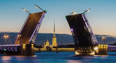 Тройной мост в санкт петербурге - 67 фото