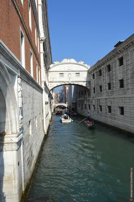 Каникулы в Венеции: Гранд канал, мост Риальто и Палаццо #3 - Global List