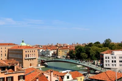 Мосты Венеции, отзыв от туриста elenarossi на Туристер.Ру