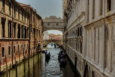 Венеция — от площади Сан-Марко до моста Риальто © цена и отзывы 2024 года •  Travel Mania