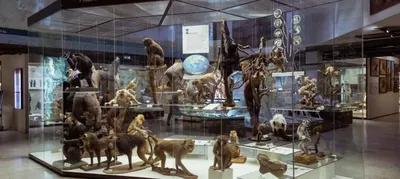 Государственный Дарвиновский музей на Вавилова в Москве: На карте,  Описание, Фото, Видео, Instagram | Pin-Place.com