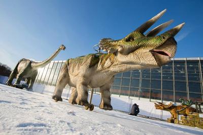Музей динозавров в Москве фото фотографии