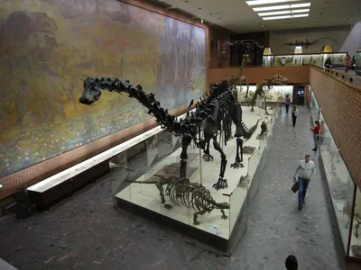 Выходные с детьми: где искать динозавров в Москве — Яндекс Карты
