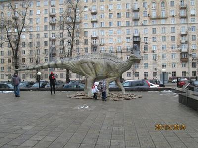 Подъём динозавров в Центральном Детском Мире в Москве - АЛЬПИНА Группа  компаний