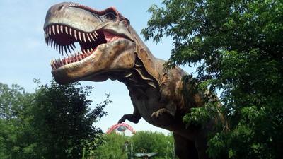 Затерянный мир»: как в Приамурье изучают останки последних динозавров |  Такие дела