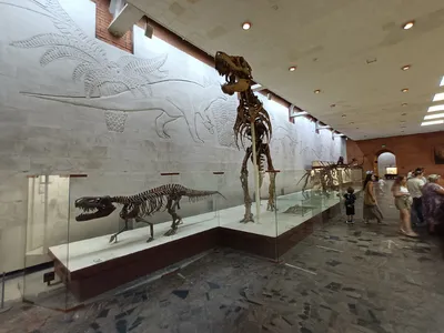 Город Динозавров на ВДНХ - MoscoWalk.ru - Прогулки по Москве | Выставки