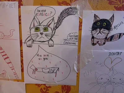 Милые, но очень грустные котики: зашла в музей кота в Минске и расстроилась  | Соло - путешествия | Дзен