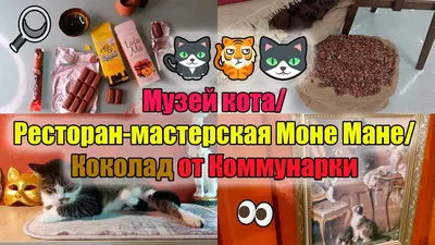 Посещение \"Музея кота\" со скидкой 50% от Slivki.by