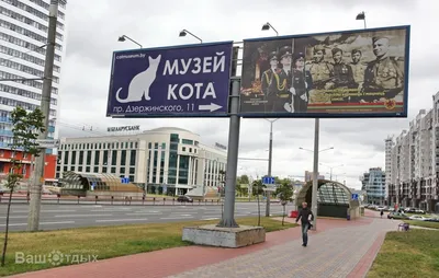 Фото: Музей кота, музей, Минск, Интернациональная ул., 23 — Яндекс Карты
