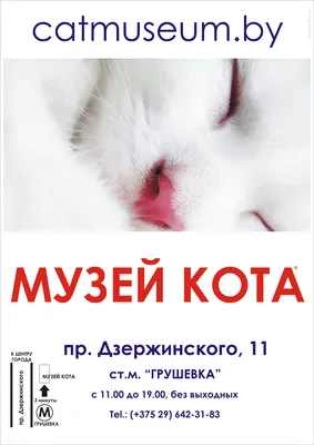 Котокафе \"Музей кота\" в Минске