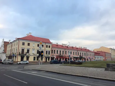 До Нового года осталось 16 дней! 😺🎄🎉 Порадуйте себя и своих близких  общением с Котиками! 💖😺😻💕🎉❤💕 Музей Кота, г.Минск… | Instagram